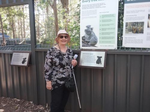 Lillian at the Koala Hospital