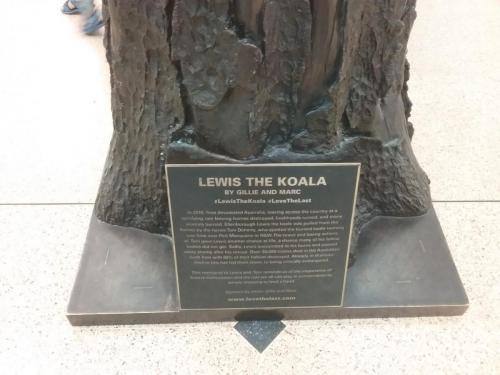 Lewis the Koala 