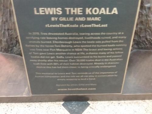 Lewis the Koala 