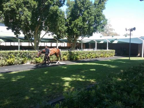 Stables