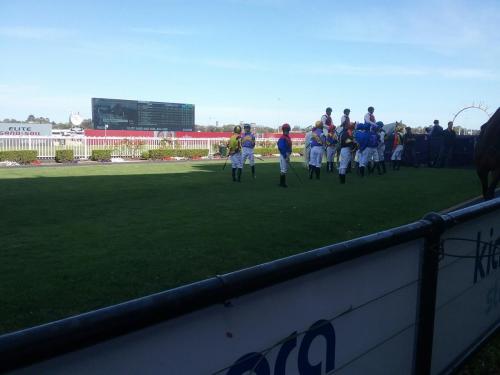 Jockeys waiting to mount their horses