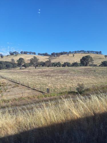 Train view country side coming into Yass 