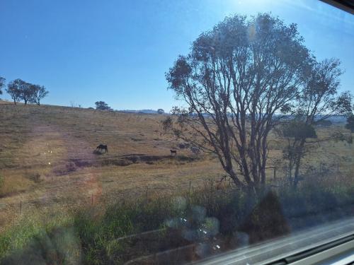 Train view country side near Murray bridge